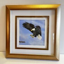 Bald eagle original for sale  Loveland
