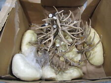 Cabin place antler for sale  Kansas City