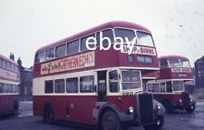 transport buses for sale  EASTBOURNE