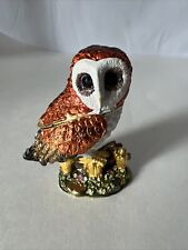 Barn owl bird for sale  South Bend
