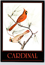 Cardinal bird west for sale  Canton