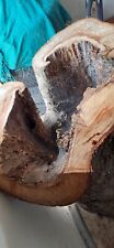 Holzstamm baumstamm apfelbaum gebraucht kaufen  Plattling