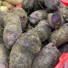 Fresh purple yam for sale  Fountain Valley