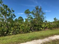 0.31 acre central for sale  Lake Wales