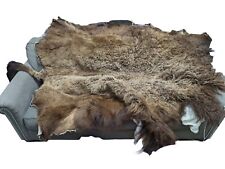 Bison pelt for sale  Arpin