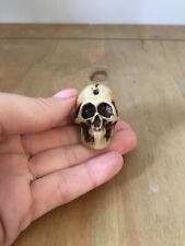 Small natural skull for sale  WEYMOUTH
