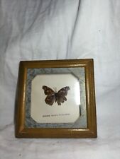 Butterfly frame d'occasion  Expédié en Belgium