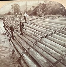 Giant log raft for sale  Ozark
