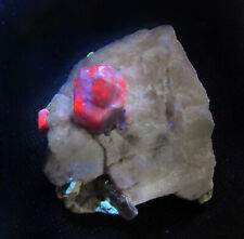 Minerale cristalli hackmanite usato  Tornaco