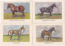Horses tally sets for sale  HORNCHURCH