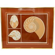 Seashell framed art for sale  Winfield