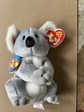 Aussie koala bear for sale  Acton