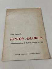 Pastor amabilis papa usato  Venezia