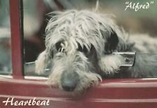 Heartbeat alfred unsigned for sale  KNUTSFORD