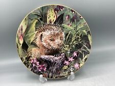 Wedgwood woodland hedgehog for sale  HINDHEAD