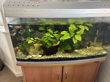 Tropical fish tank for sale  SWINDON