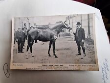 Dublin horse show for sale  BLACKPOOL