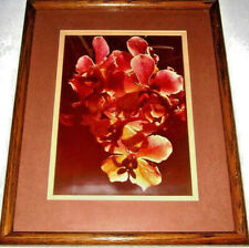 photograph vanda orchids double mat teak wood frame ready to hang vintage for sale  Shipping to Canada