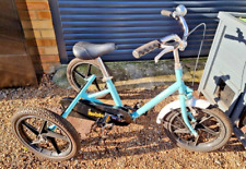 Pashley robin tricycle for sale  CHATHAM