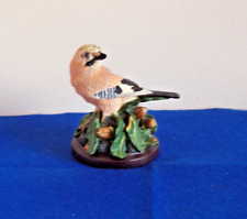 Realistic jay colourful for sale  BASINGSTOKE