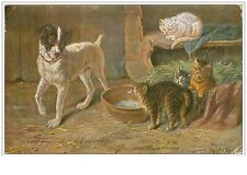 Cats. 1821.chien observing d'occasion  Expédié en Belgium
