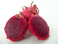 Fruta del Dragón Rojo - Carne Roja - Pitahaya - 10+ semillas Gx 005 segunda mano  Embacar hacia Argentina