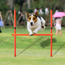 Portable dog agility for sale  Shipping to Ireland