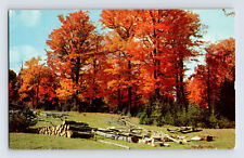 Postcard new york for sale  Elk Grove