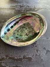 Large abalone shell for sale  PENARTH