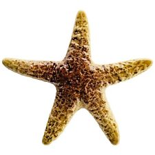 Ceramic starfish swimming for sale  Fort Myers