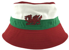 Wales forever cymru for sale  PORT TALBOT
