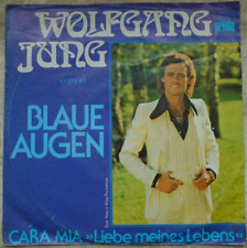 Wolfgang jung blaue gebraucht kaufen  Hagen