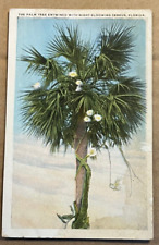 USED POSTCARD - PALM TREE ENTWINED WITH NIGHT BLOOMING CEREUS, FLORIDA for sale  Shipping to South Africa
