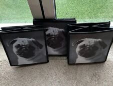 Pug dog theme for sale  PAIGNTON