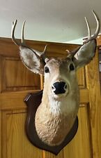 Antique vintage deer for sale  Auburn