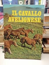 Cavallo avelignese franco usato  Italia