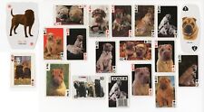 Shar pei collection for sale  COLEFORD