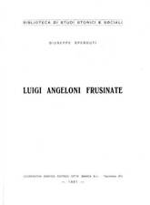 Luigi angeloni frusinate. usato  Italia