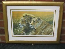 Lion print stephen for sale  NEWCASTLE UPON TYNE