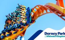 Dorney park wildwater for sale  Mayville