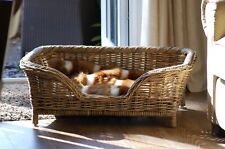 Wicker dog bed for sale  BURY ST. EDMUNDS