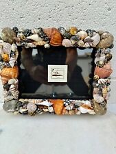 shell frame picture sea for sale  Los Angeles