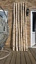 Silver birch poles for sale  WITHAM