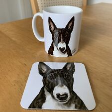 English bull terrier for sale  TAMWORTH