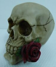 Altor giftware skull for sale  HUNGERFORD
