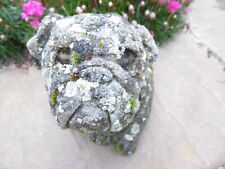 Vintage weathered bulldog for sale  HOLT