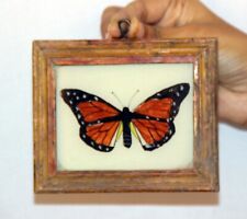 Usado, Pintura de borboleta de madeira vintage moldura de parede pendurada com vidro 11479 comprar usado  Enviando para Brazil