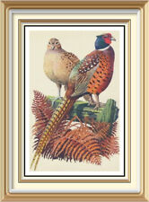 tunnicliffe prints for sale  CANNOCK
