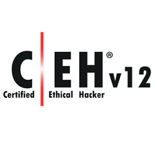 EC Council CEH Certified Ethical Hacker V12 perguntas e respostas comprar usado  Enviando para Brazil