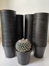 Usato, Vasi plastica neri 5,5 cm diametro n* 200 usato  Monte San Vito